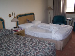 Hotel kde bydlim - muj pokoj - postel s Plutem :-)