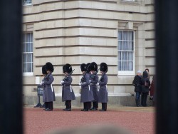 Straze pred Buckinghamskym palacem