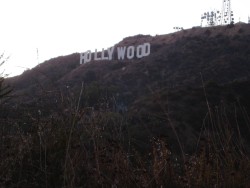 Napis Holywood, Los Angeles