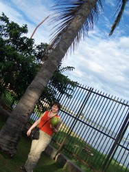 Kokos(y) pod palmou kokosovou